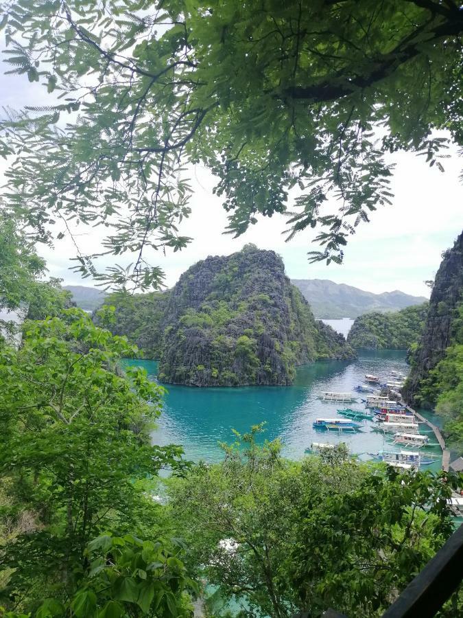 Bella Louise Lodging House Bar And Resto Busuanga Exteriör bild